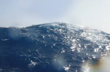 Fallen Forests and Rising Ocean Fury article